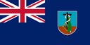 ms flag