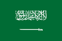 sa flag