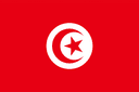 tn flag
